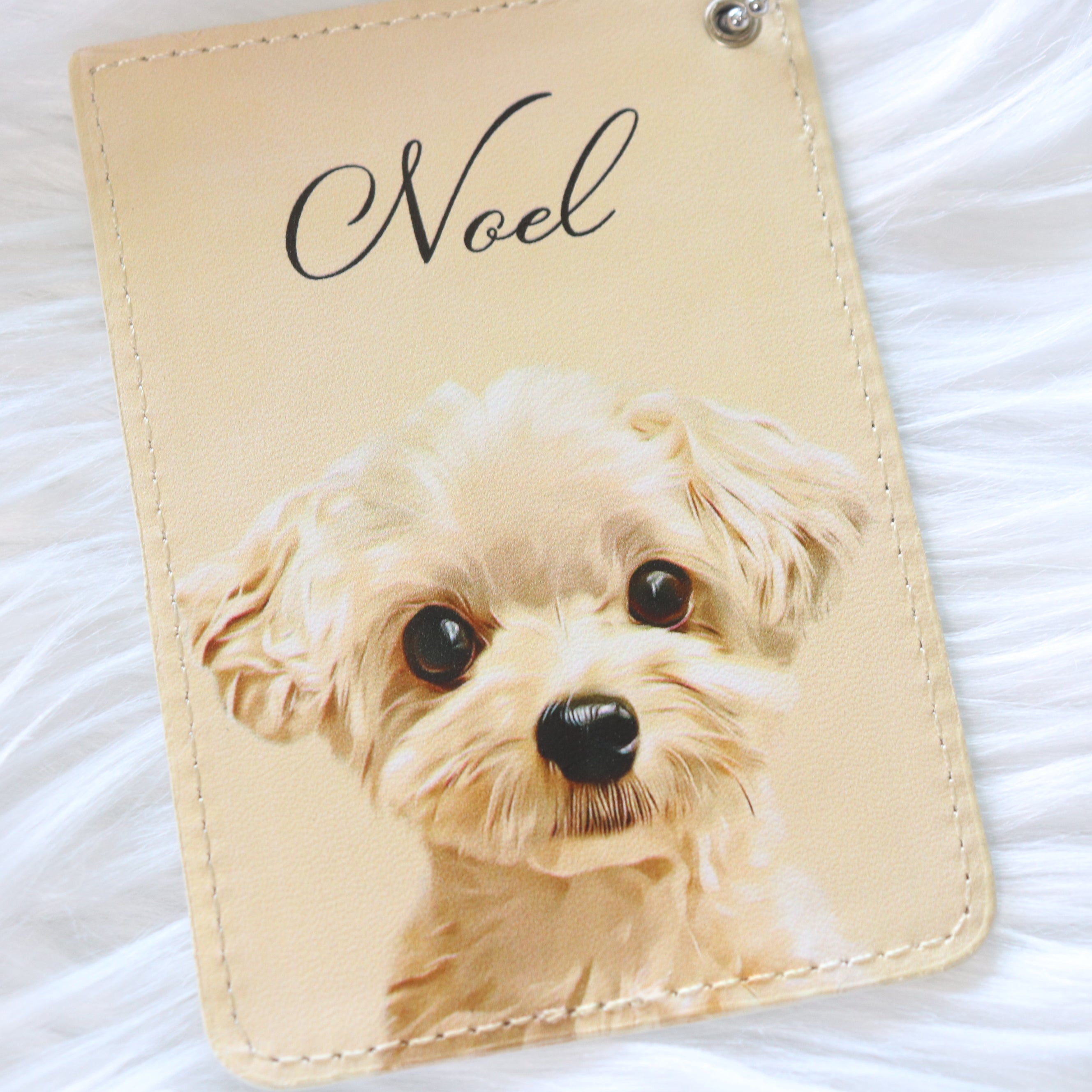 わんにゃんパスケース