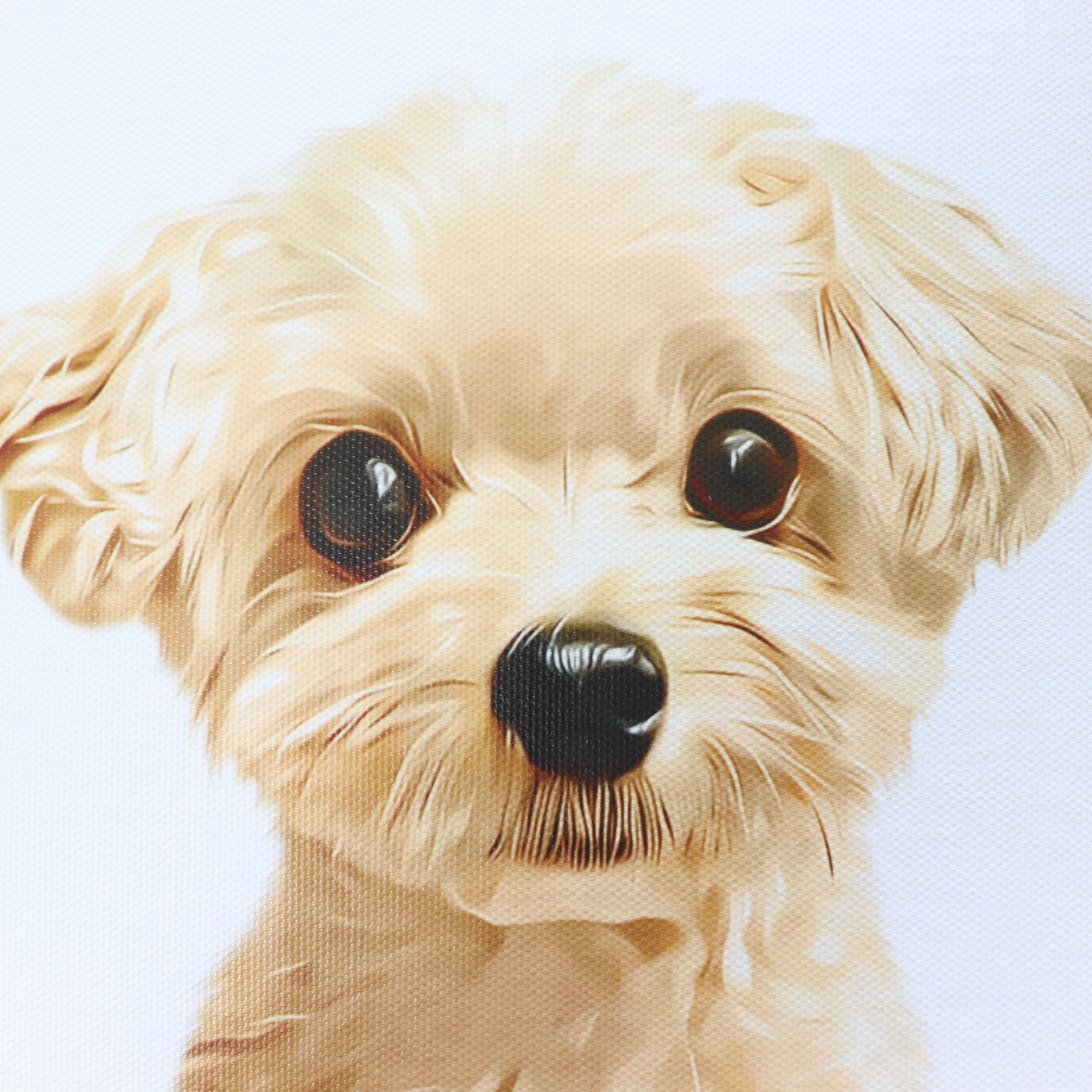 わんにゃん木製フォトサイン