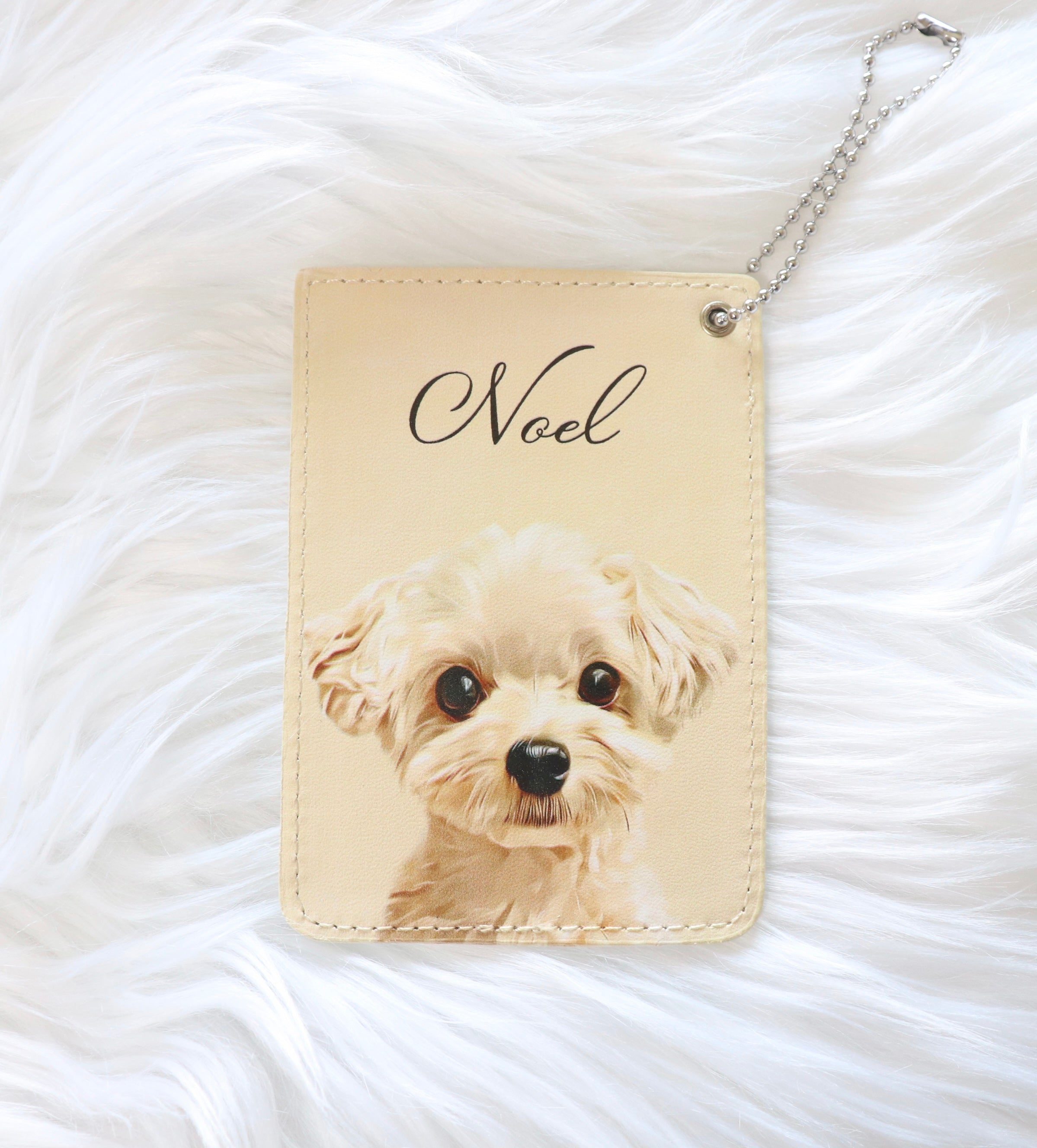 わんにゃんパスケース