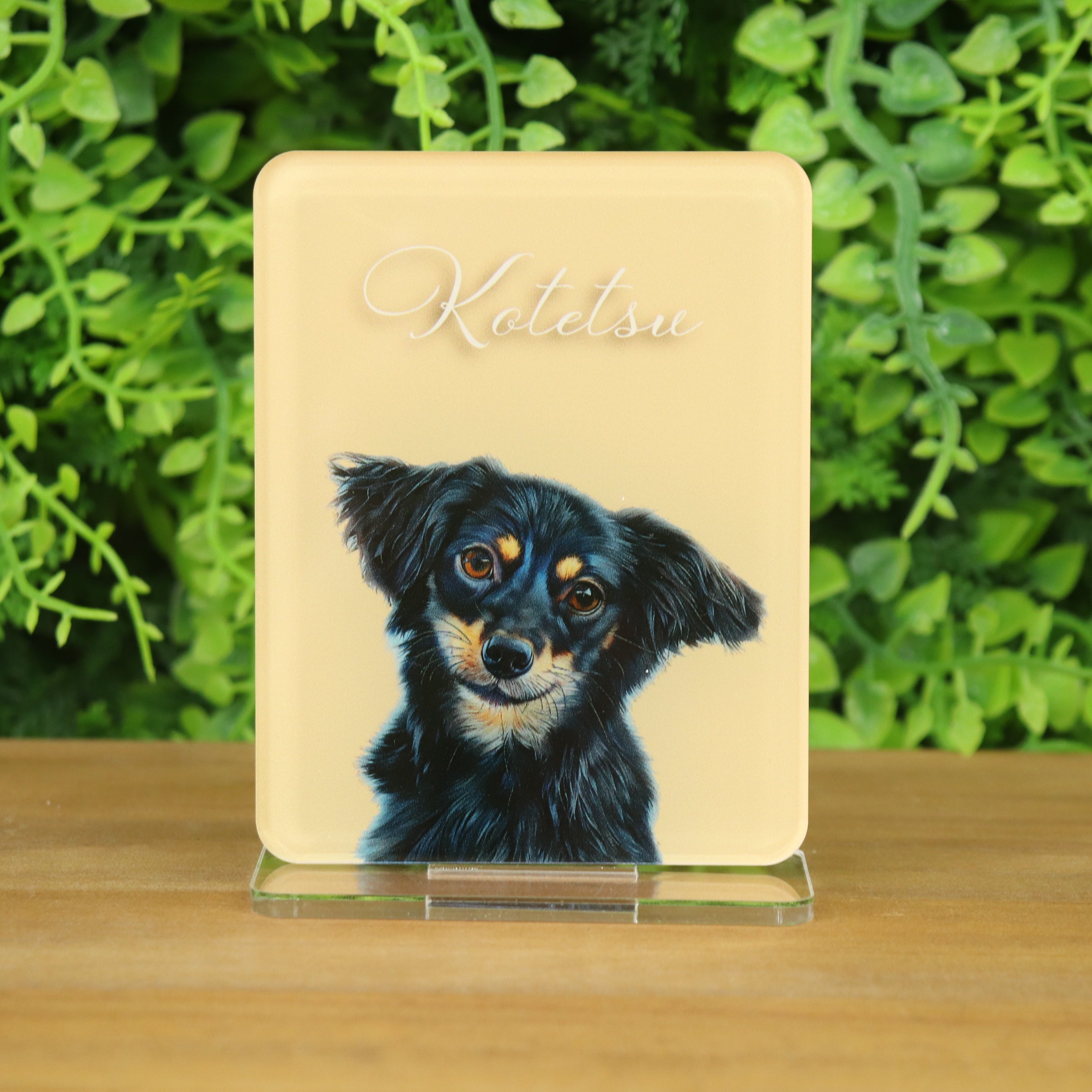 わんにゃんアクスタ