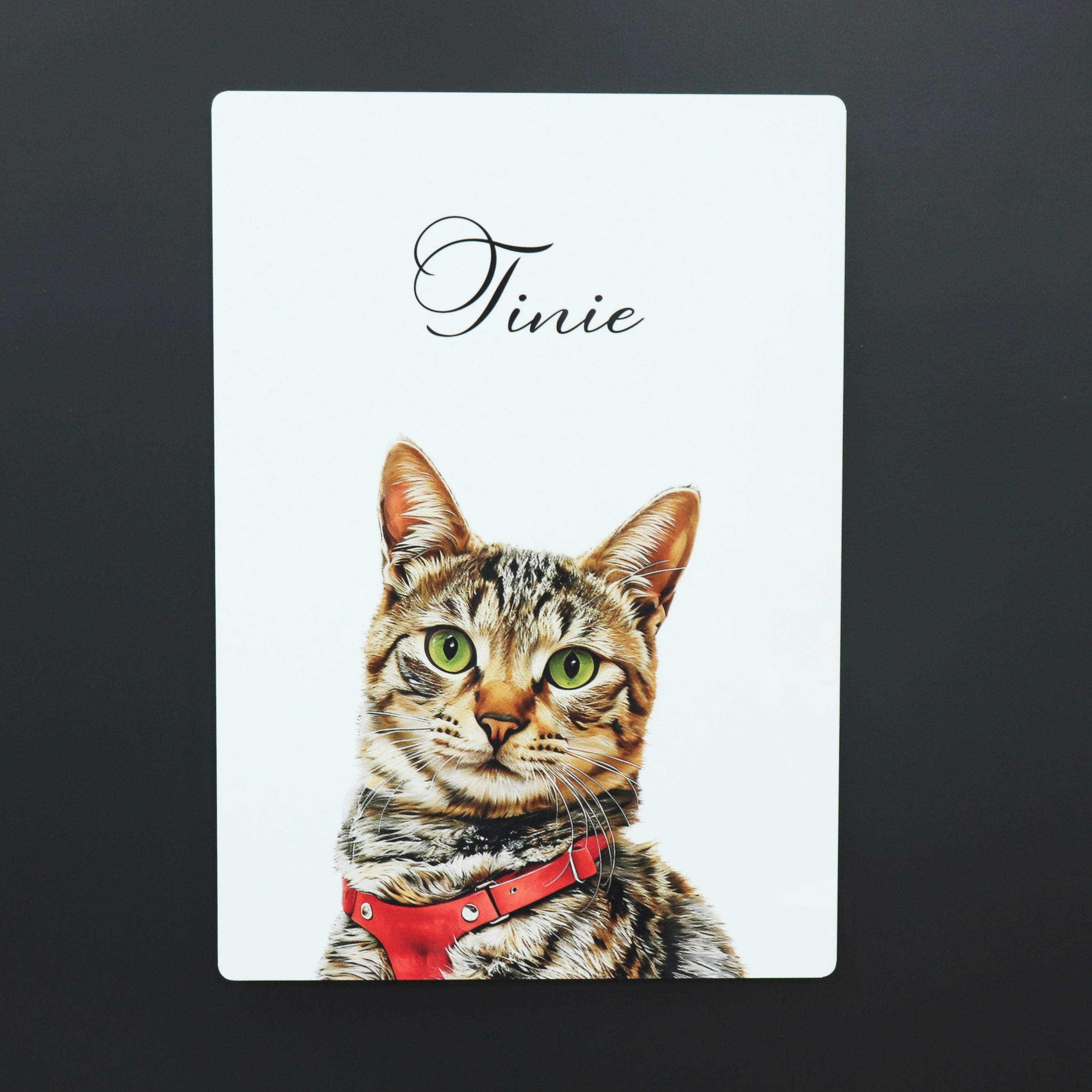 わんにゃん メタルフォトプリント